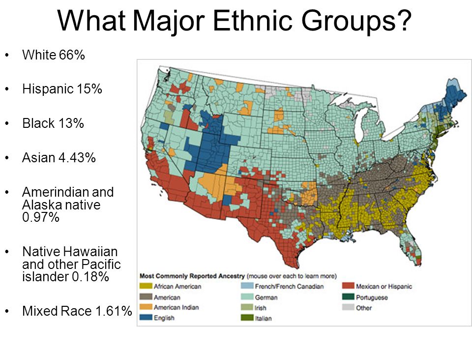 What are four hispanic groups in america